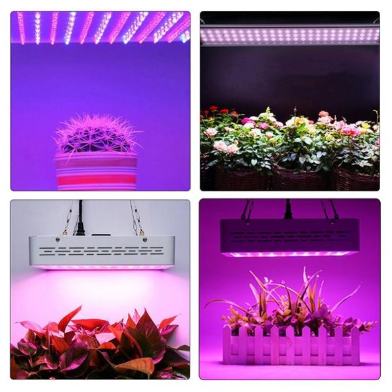 50w Full Spectrum Led Grow Light Hydroponic Indoor Veg Bloom Plant Lamp