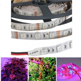 5m 3:1/4:1/5:1 Röd:blå 5050smd 300led Icke Vattentät Hydroponic Plant Grow Strip Light Dc12v