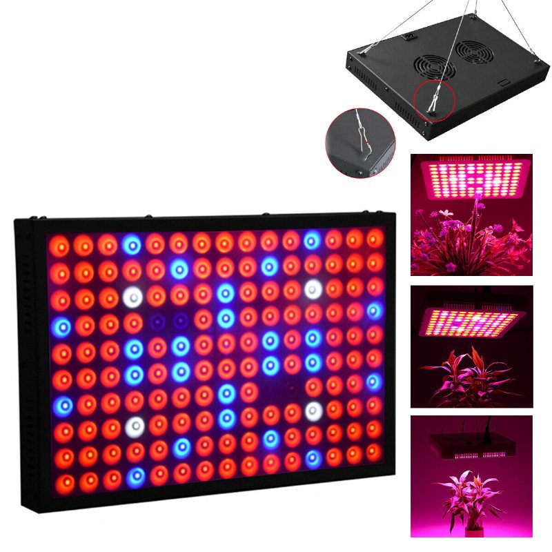 600w Full Spectrum Led Grow Light Hydroponisk Inomhus Veg Blomma Plant Panel Lampa