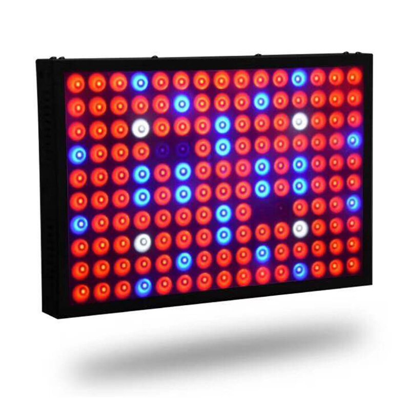 600w Full Spectrum Led Grow Light Hydroponisk Inomhus Veg Blomma Plant Panel Lampa