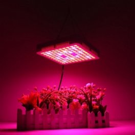 65w Led Grow Light Panel Lampa Full Spectrum Hydroponic Plant Growing Lights