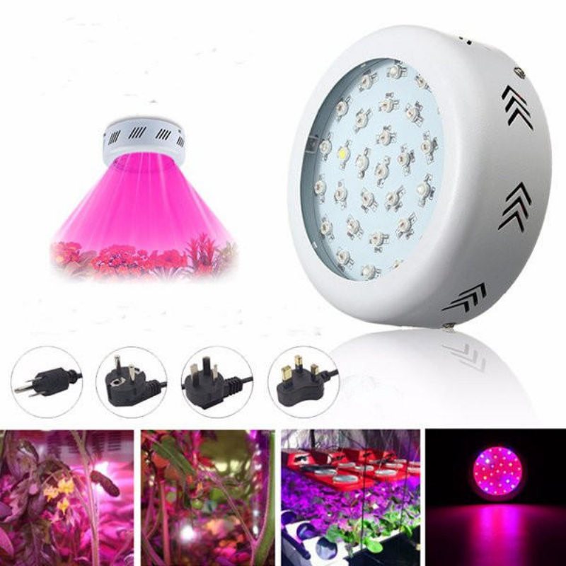 70w Ufo Led Full Spectrum Grow Light Lampa För Växter Hydroponisk Inomhusblomma