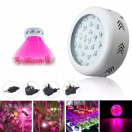 70w Ufo Led Full Spectrum Grow Light Lampa För Växter Hydroponisk Inomhusblomma