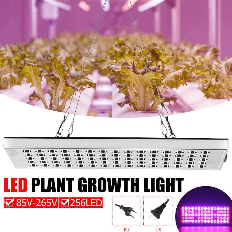 800w Led Grow Light Full Spectrum Växt Lampa För Hydroponics Veg Indoor