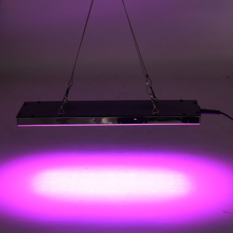 800w Led Grow Light Full Spectrum Växt Lampa För Hydroponics Veg Indoor