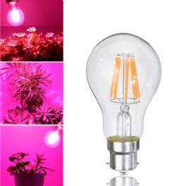 8w A60 E27 B22 Cob Icke-dimbar Led Plant Grow-glödlampa För Hydroponics Greenhouse Ac85-265v