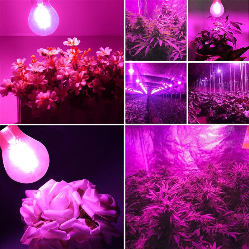 8w A60 E27 B22 Cob Icke-dimbar Led Plant Grow-glödlampa För Hydroponics Greenhouse Ac85-265v