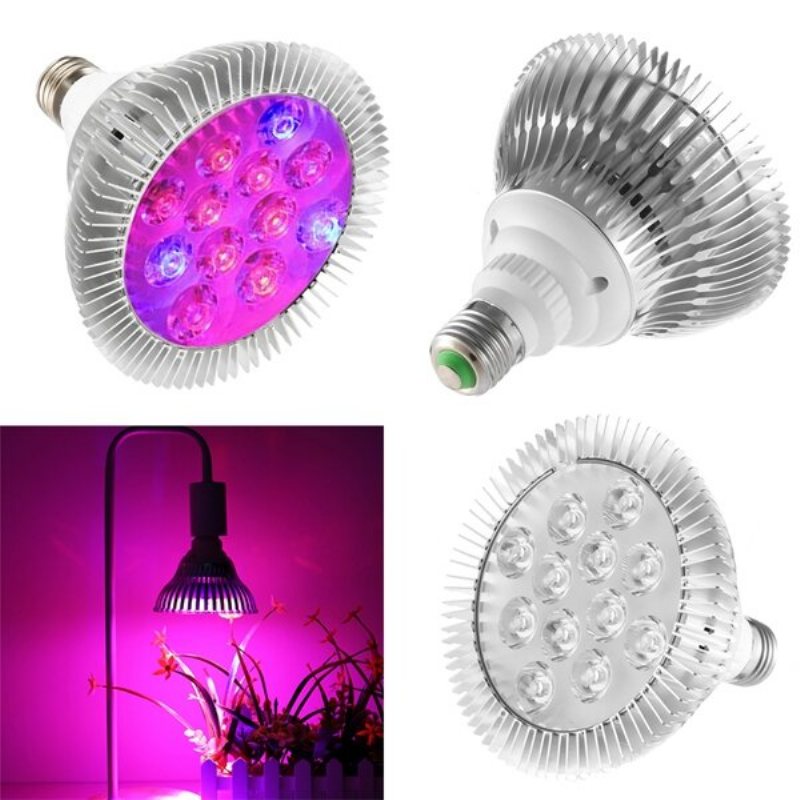 9w 12 Led E27 Röd Blå Grow Lamp For Hydroponics Blommor Växter Grönsaker