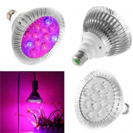 9w 12 Led E27 Röd Blå Grow Lamp For Hydroponics Blommor Växter Grönsaker