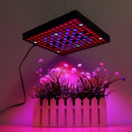 Ac110-240v Led Grow Light Full Spectrum Växtlampa För Inomhus Hydroponiska Grönsaker