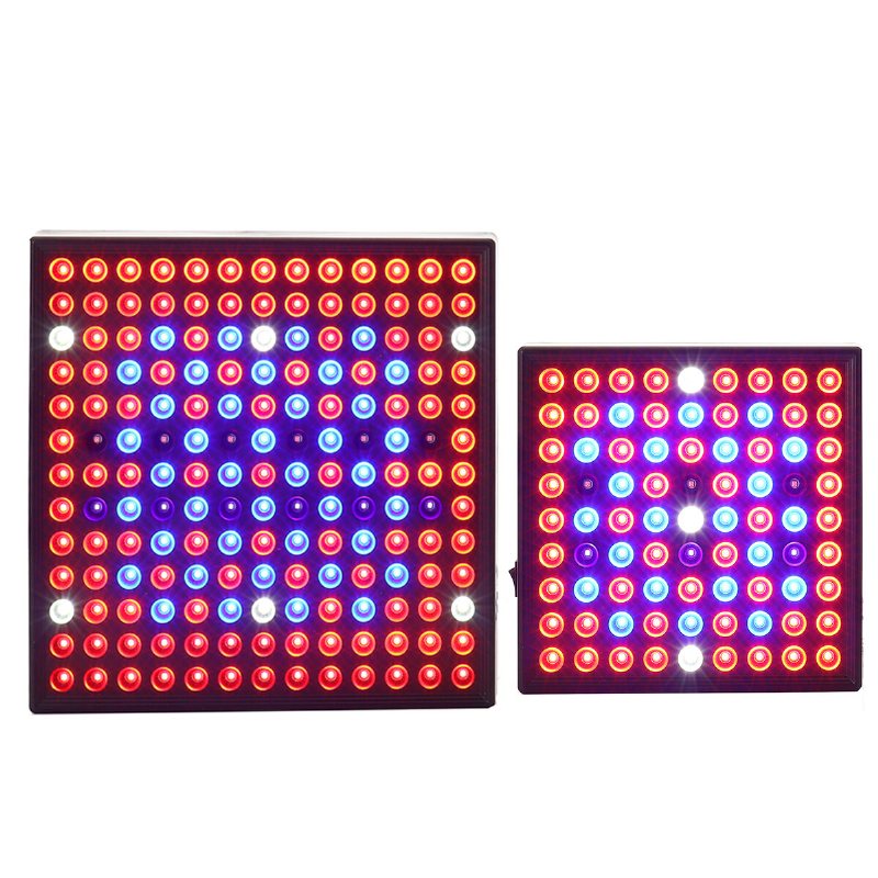 Ac110-240v Led Grow Light Full Spectrum Växtlampa För Inomhus Hydroponiska Grönsaker