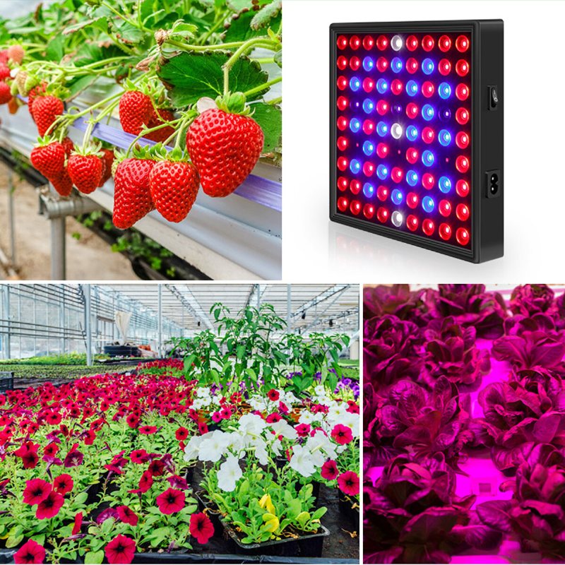 Ac110-240v Led Grow Light Full Spectrum Växtlampa För Inomhus Hydroponiska Grönsaker