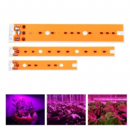 Ac110v/220v 30w 50w 80w Full Spectum Led Cob Chip Grow Ljuskälla För Flood Jod-volframlampa