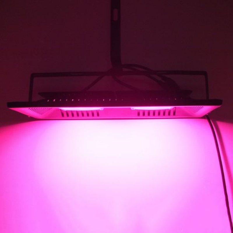 Ac220v 100w Full Spectrum Led Flood Grow Light Vattentätt Ip65 För Vår Inomhusanläggning