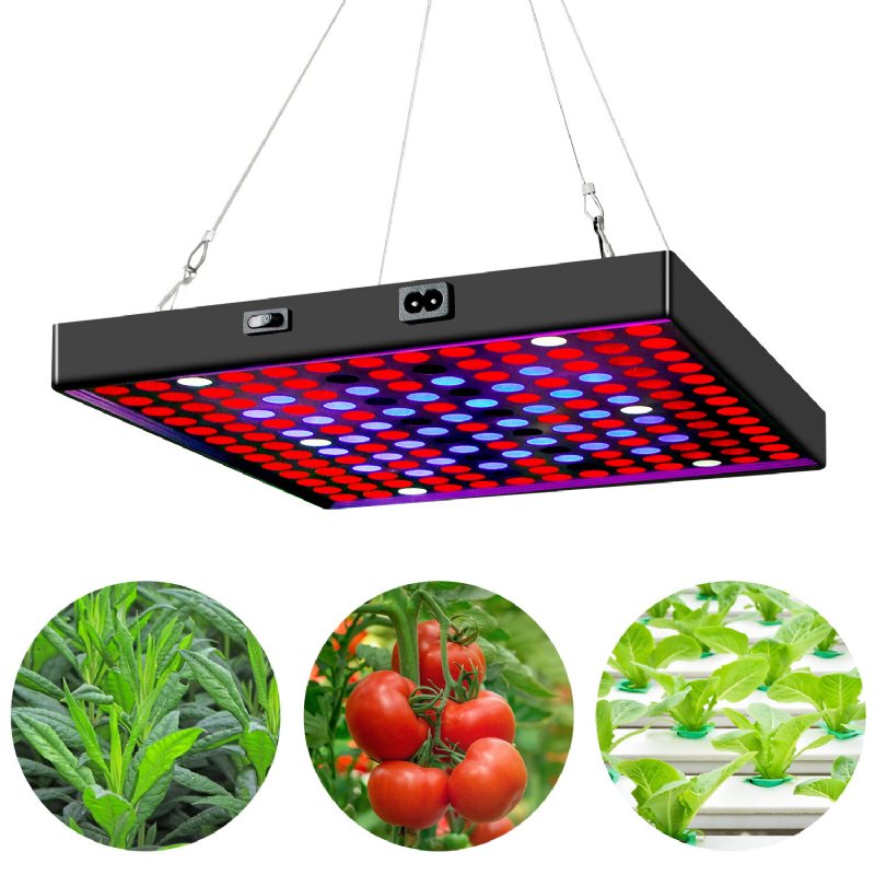 Ac85v~265v 81led/169led Full Spectrum Grow Light Plant Med Upphängningssats För Växthusgårdar