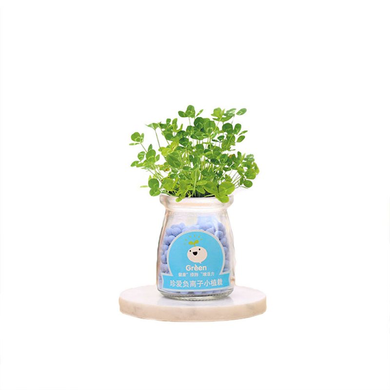 Creative Diy Negative Ion Hydroponic Potted Desktop Water Pebble Carbon Ball Anti-strålning Mini Blomkruka