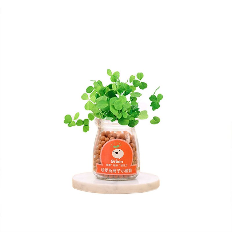 Creative Diy Negative Ion Hydroponic Potted Desktop Water Pebble Carbon Ball Anti-strålning Mini Blomkruka