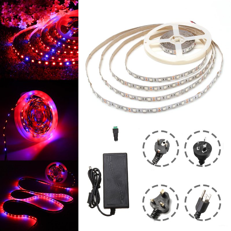 Dc12v 5m Icke Vattentät Smd5050 R:b 3:1 Grow Led Strip Light + 5a Nätadapter + Honkontakt