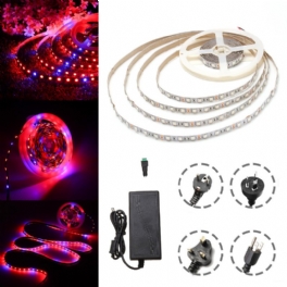 Dc12v 5m Icke Vattentät Smd5050 R:b 3:1 Grow Led Strip Light + 5a Nätadapter + Honkontakt