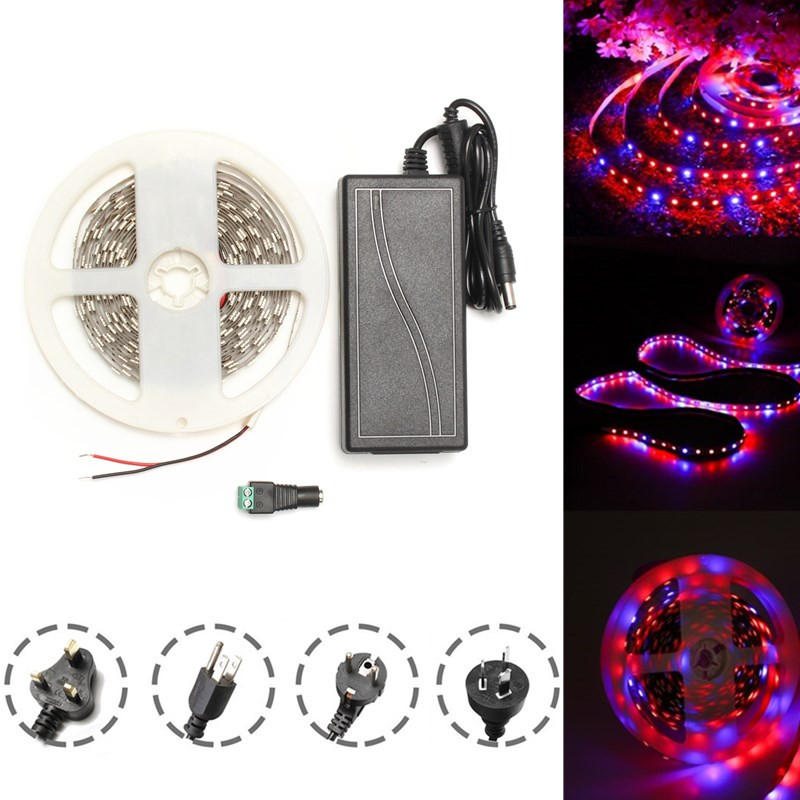 Dc12v 5m Röd: Blå 3:1 Vattentät 5050 Full Spectrum Grow Led Strip Lights Kit För Plant