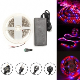 Dc12v 5m Röd: Blå 3:1 Vattentät 5050 Full Spectrum Grow Led Strip Lights Kit För Plant