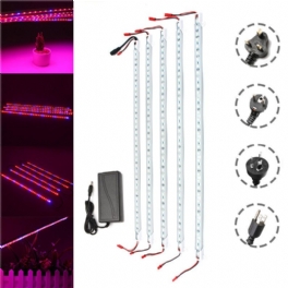 Dc12v 5pcs 50cm Vattentät Smd5050 Röd:blå 5:1 36led Strip Plant Garden Grow Light+5a Strömadapter