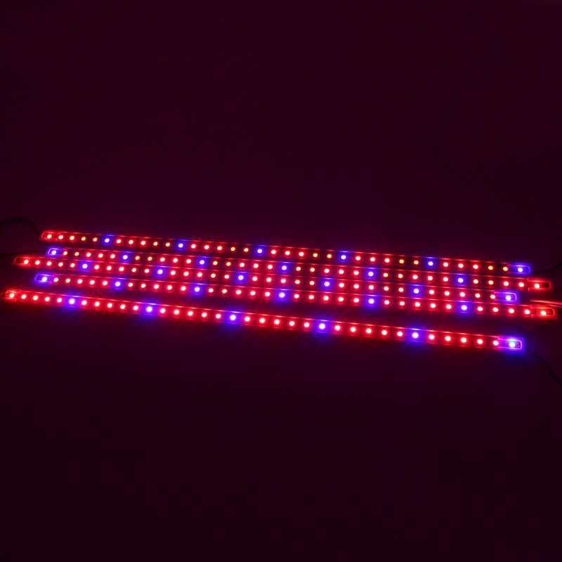 Dc12v 5pcs 50cm Vattentät Smd5050 Röd:blå 5:1 36led Strip Plant Garden Grow Light+5a Strömadapter