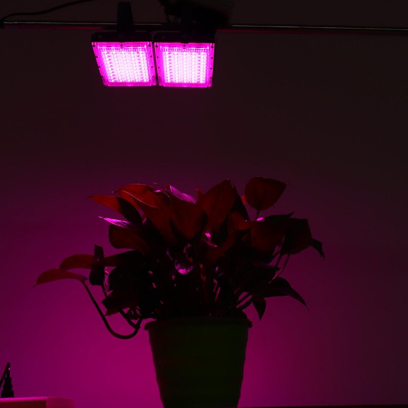 Full Spectrum 100 Led Grow Light Flood Lighting Lampa För Växter Grönsaker Och Blommor