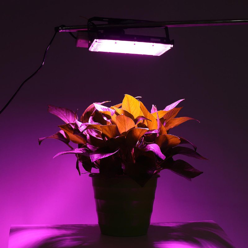 Full Spectrum 50 Led Grow Light Flood Lighting Lampa För Växter