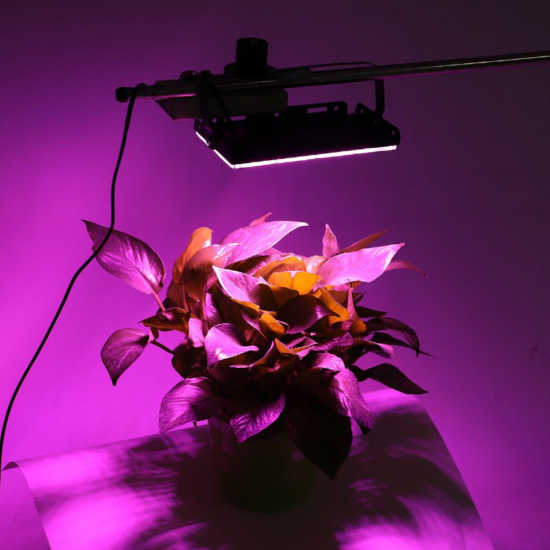 Full Spectrum 50 Led Grow Light Flood Lighting Lampa För Växter