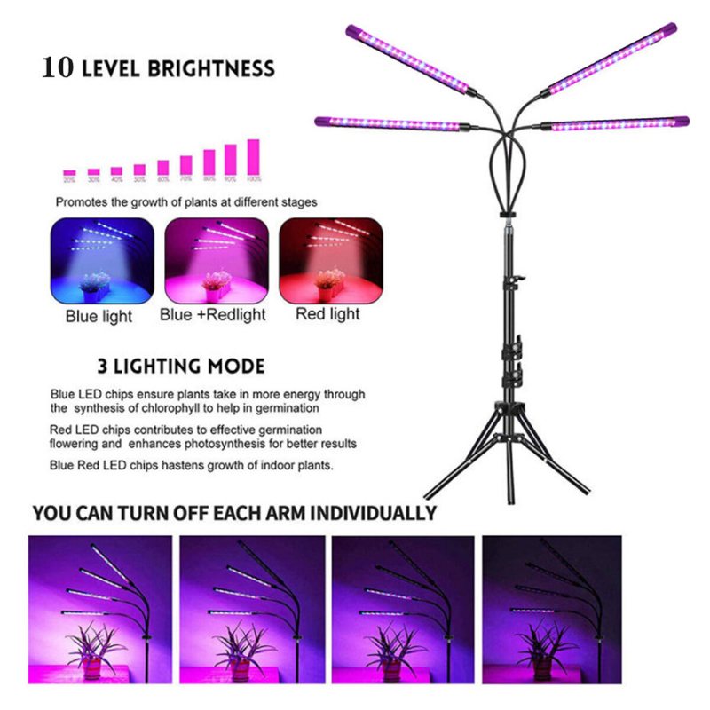 Led Grow Light Stativ Växtodlingslampa Med För Inomhusväxter