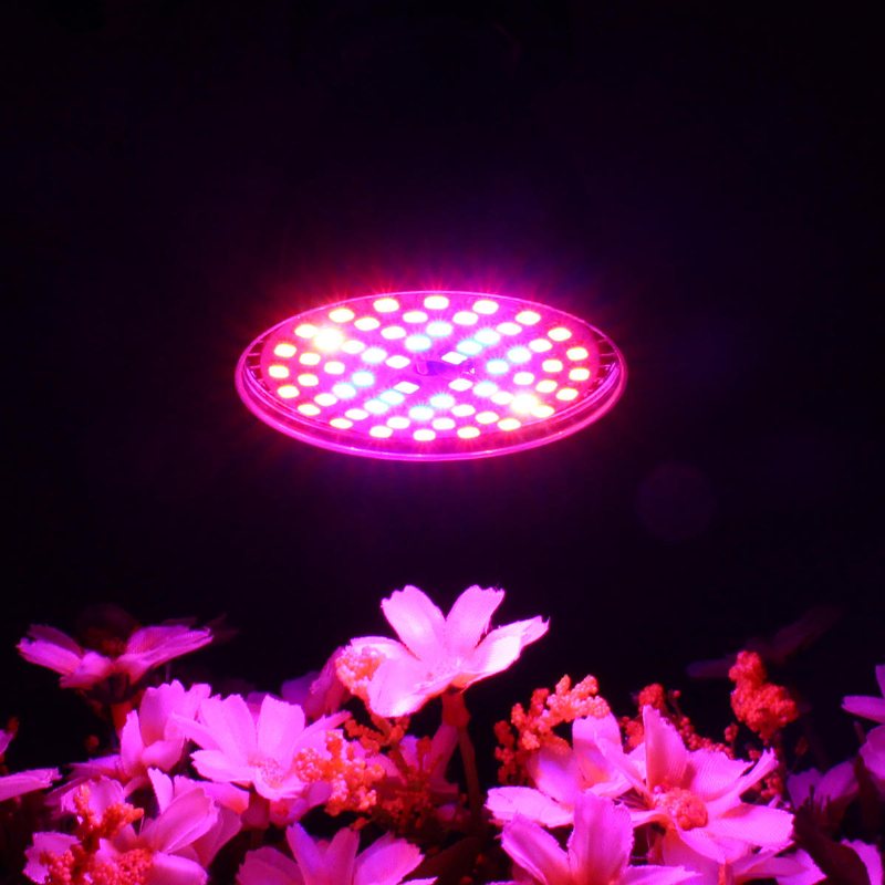 Led-lampa Grow Light E27 2835 Smd Full Spectrum Plant Hydroponic Aquarium Ac85-265v