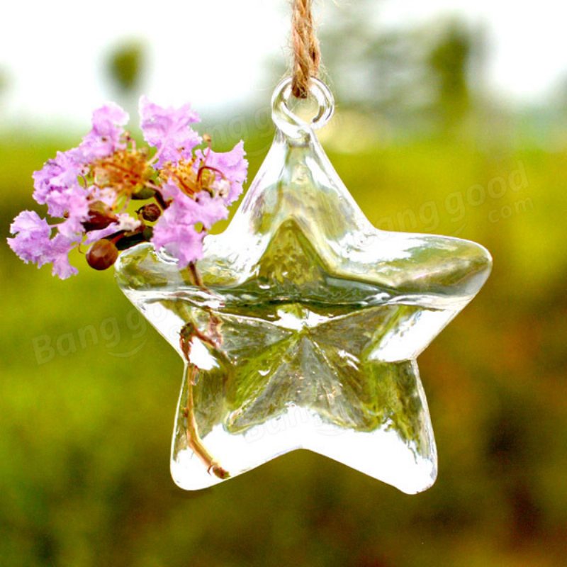 Lucky Star Shape Glas Blomvas Hydroponisk Växtbehållare