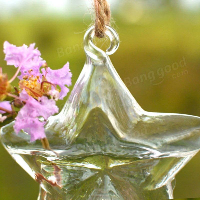 Lucky Star Shape Glas Blomvas Hydroponisk Växtbehållare