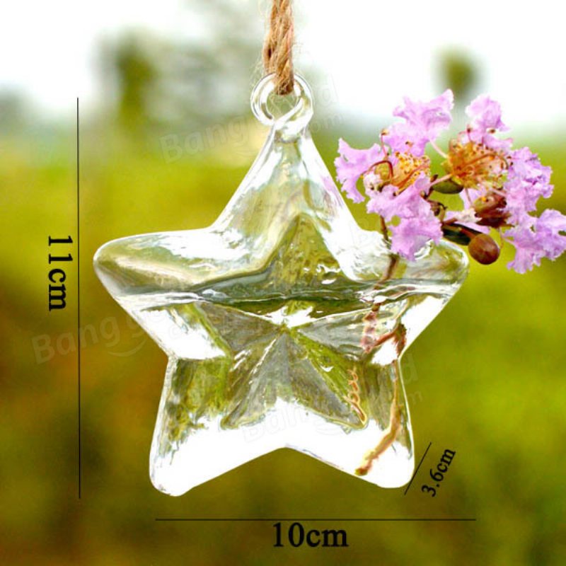 Lucky Star Shape Glas Blomvas Hydroponisk Växtbehållare