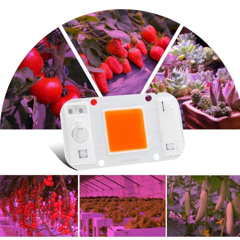 Lustreon 20w 30w 50w Full Spectrum Cob Led Grow Light Chip Diy För Inomhusväxt Hydroponice Ac220v