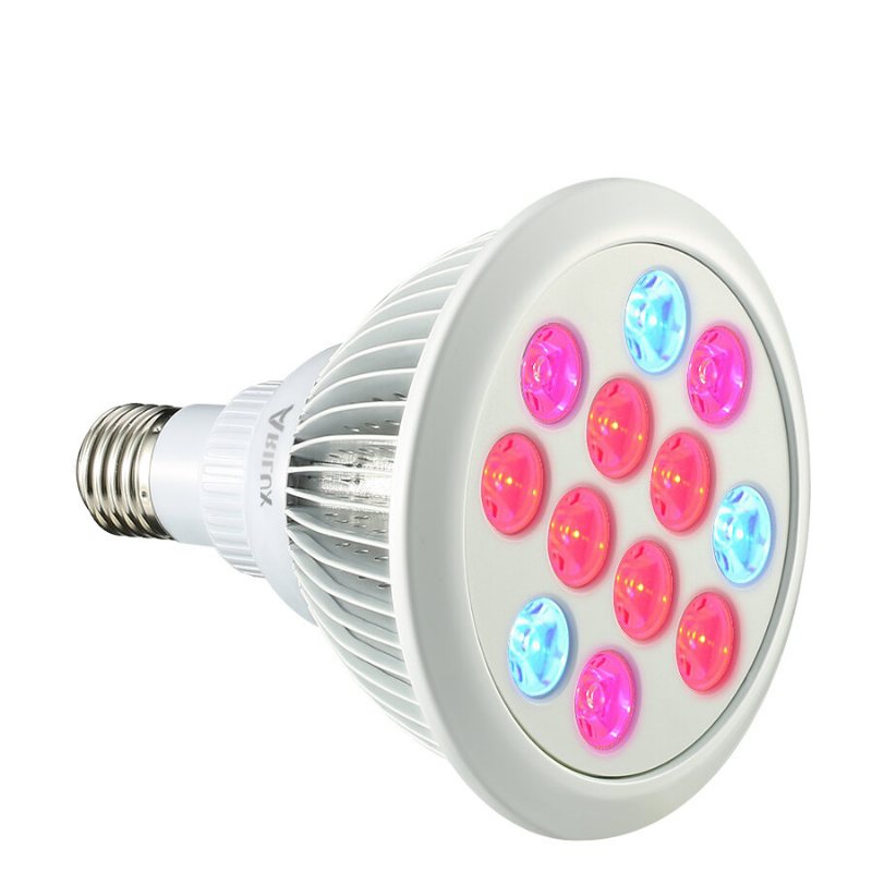 Pl-gl 01 E27 12w/24w Led Plant Grow Light Lampa För Trädgård Hydroponics Växthus Ekologisk