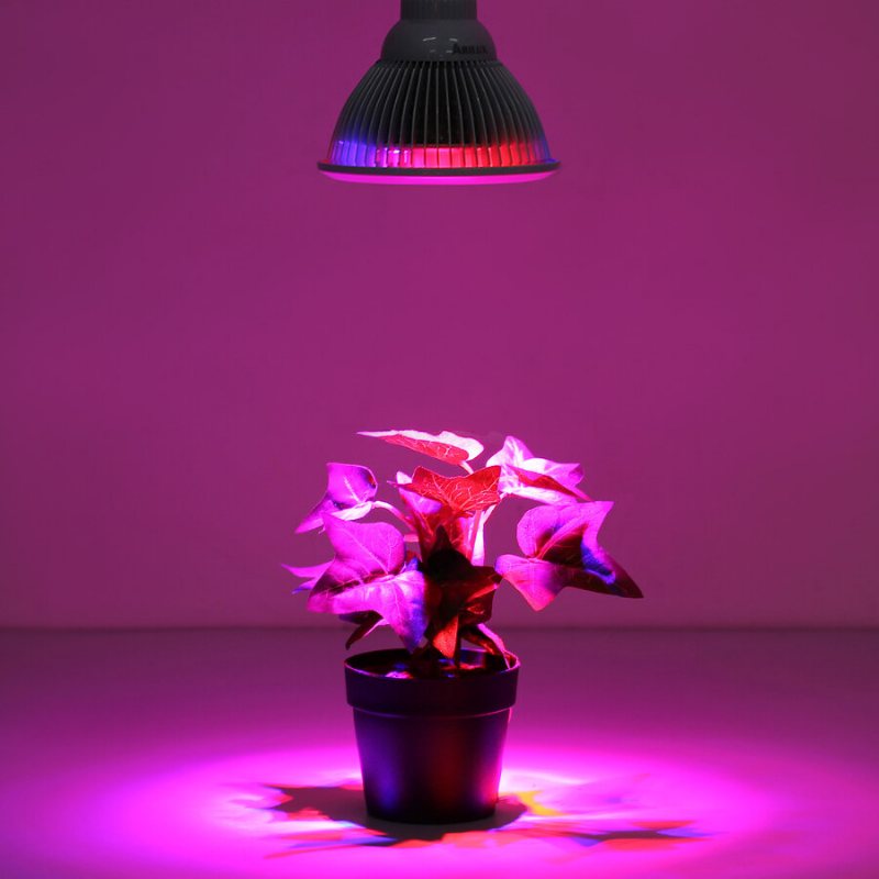 Pl-gl 01 E27 12w/24w Led Plant Grow Light Lampa För Trädgård Hydroponics Växthus Ekologisk