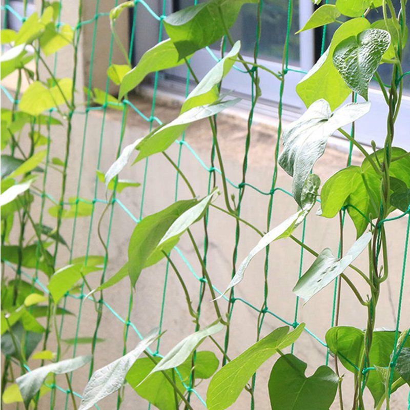 Planta Klätternät Grönsaksmelon Frukt Trädgårdsskötsel Växande Dekoration För Blomma Stödpåse