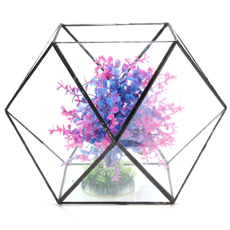 Polygon Växthus Glas Terrarium Diy Mikro Landskap Suckulenta Växter Blomkruka