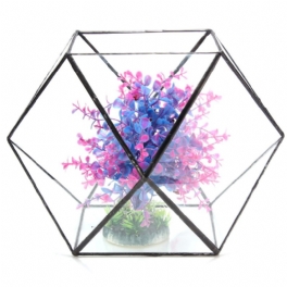 Polygon Växthus Glas Terrarium Diy Mikro Landskap Suckulenta Växter Blomkruka