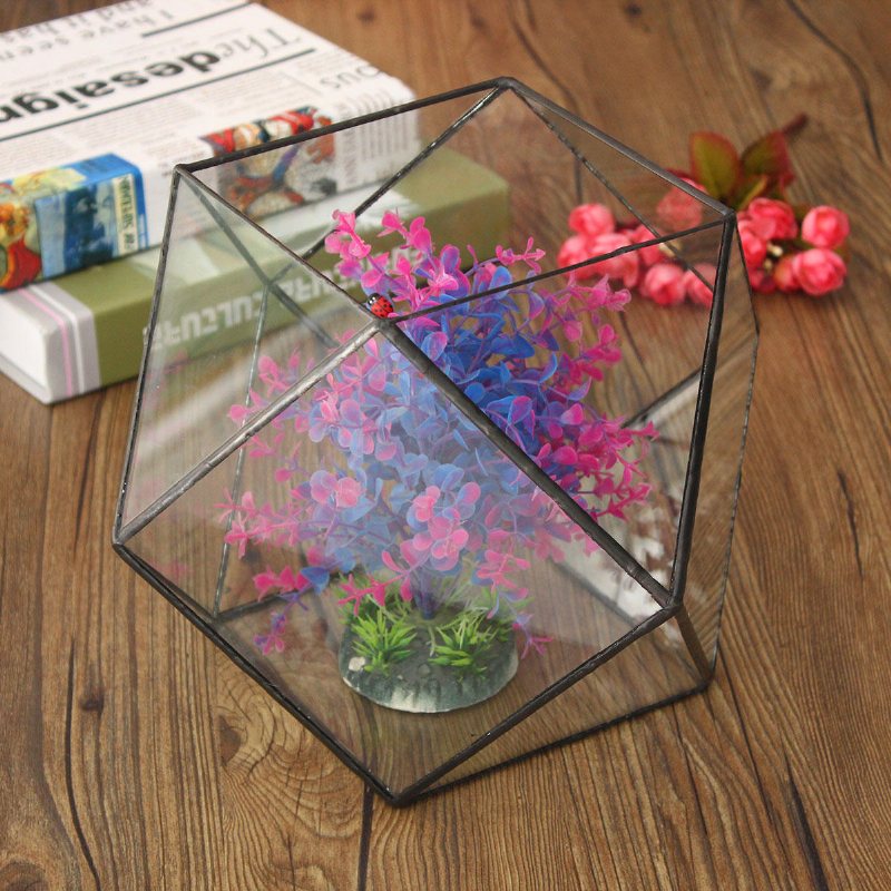 Polygon Växthus Glas Terrarium Diy Mikro Landskap Suckulenta Växter Blomkruka