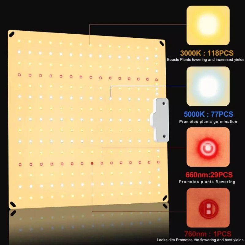 Qbcc600 Pro Ir+uv Tyst Fläktlös Full Spectrum Led Grow Light High Ppfd För 2x3ft Tält För Plantor Grönsaker Och Blomning