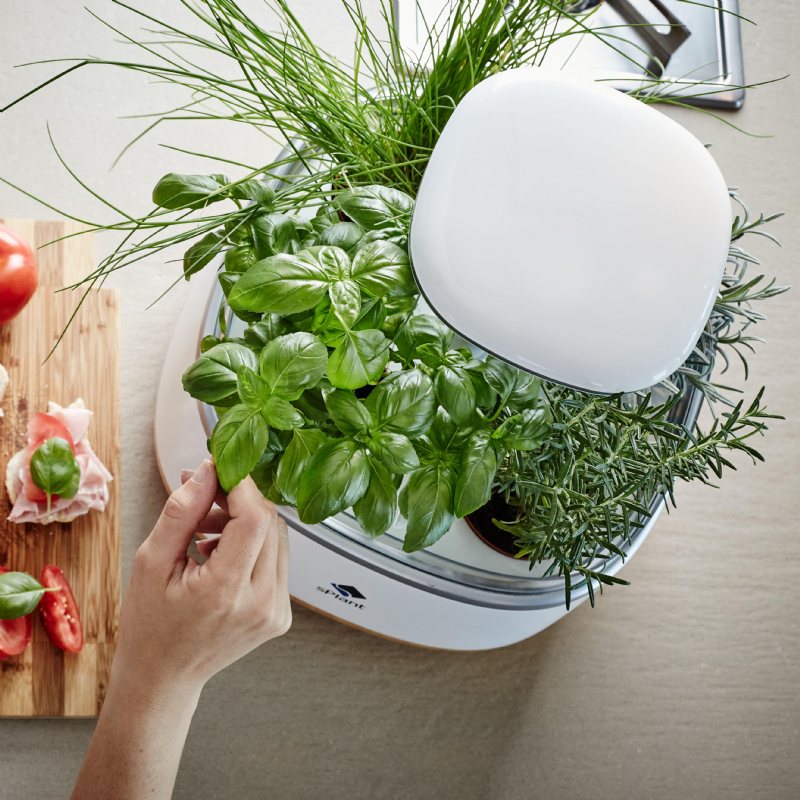 Splantera Smart Fresh Herb Garden Kit Intelligent Inomhusgrodd Led Light Fyra Blomkruka Med App-fjärrkontroll Självvattningsteknik