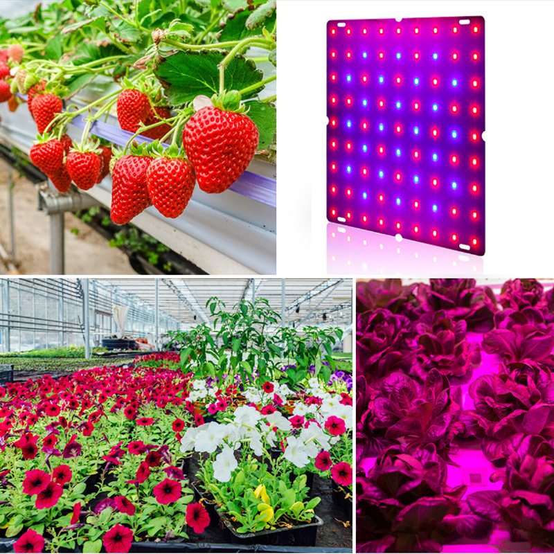 Ultratunn 81/169 Leds Plant Uv Grow Light Full Spectrum Veg Lamp För Inomhus Hydroponisk Växt Blomma 110-240v