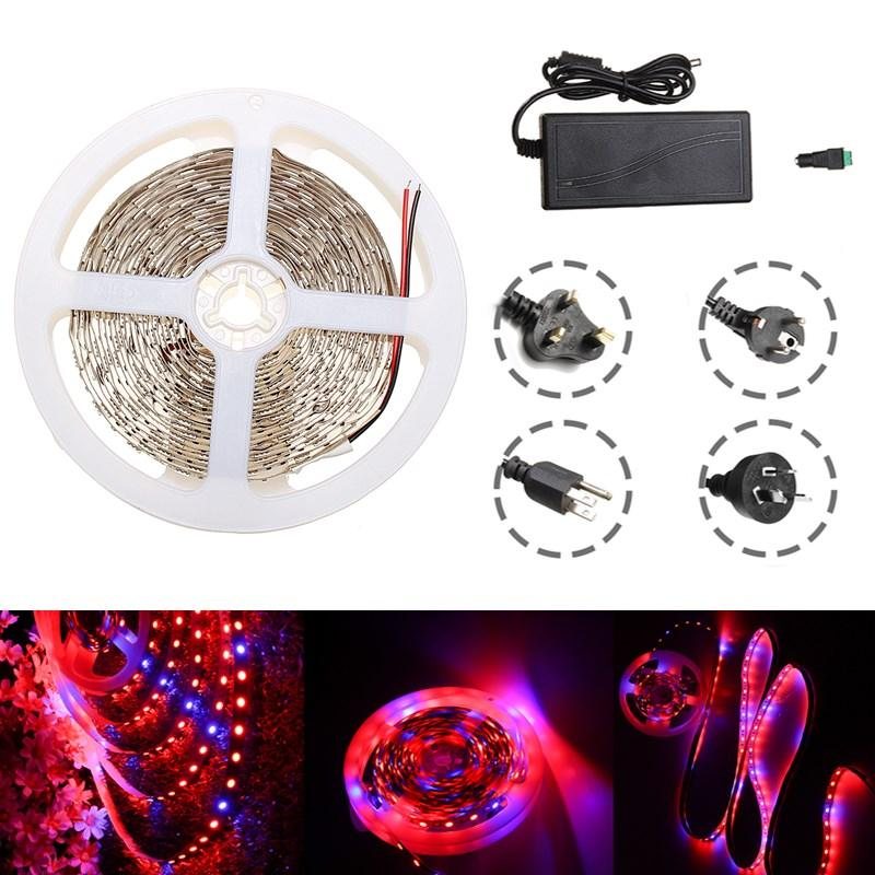 Vattentät 5m Röd:blå 5:1 Smd5050 Full Spectrum Led Strip Grow Plant Light + Strömförsörjning Dc12v