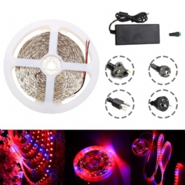 Vattentät 5m Röd:blå 5:1 Smd5050 Full Spectrum Led Strip Grow Plant Light + Strömförsörjning Dc12v