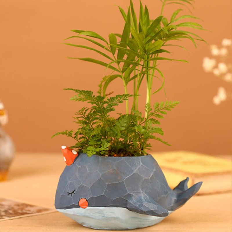 Whale Planter Harts Krukväxter Suckulenta Cactus Blomkruka Craft Ornaments