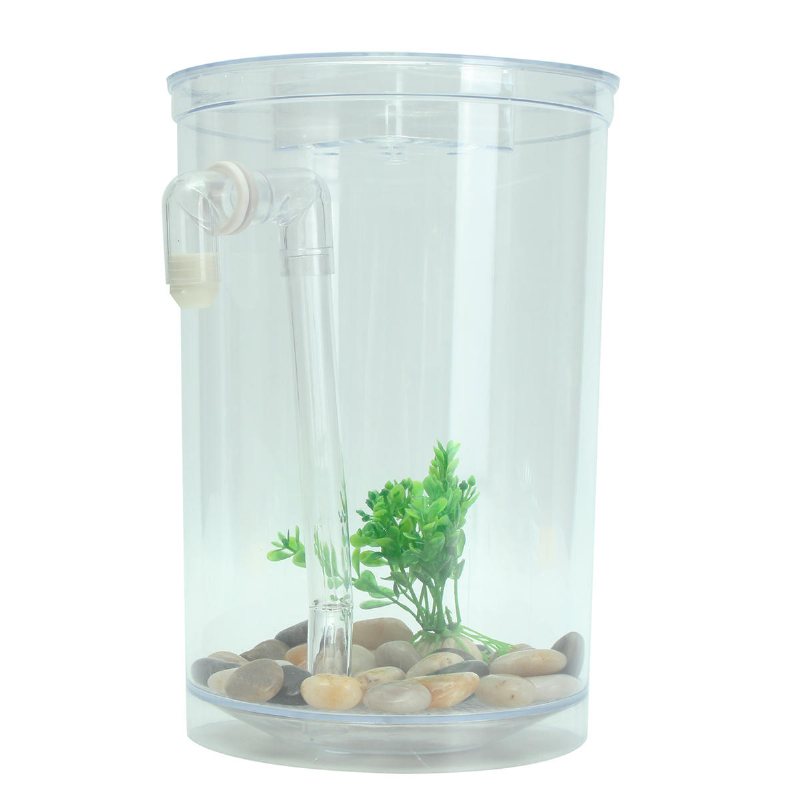 Ekologisk Cylindrisk Miniatyr Plast Vit Fish Tank Desktop Decor Fishing Kit