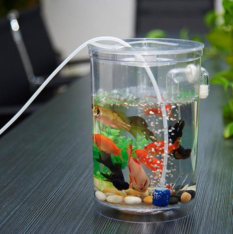 Ekologisk Cylindrisk Miniatyr Plast Vit Fish Tank Desktop Decor Fishing Kit